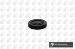 BGA PL4602 Seals & Bearings