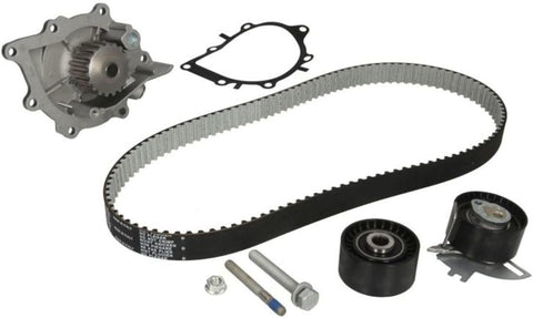 INA 530 0489 30 WATER PUMP & TIMING BELT KIT