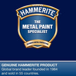 Hammerite Rust Remover Gel. Non Drip Rust Remover for Metal, Rust Converter - Non Damaging to Metal Paint, Suitable for Interior and Exterior - 750ml
