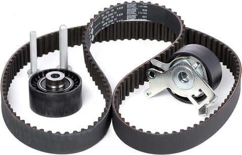 INA 530 0238 10 Timing Belt Kit