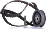 INA 530 0149 10 Timing Belt Kit