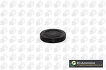BGA PL4601 Seals & Bearings