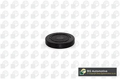 BGA PL4601 Seals & Bearings