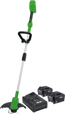 Draper 94580 D20 40V Grass Trimmer with Battery and Fast Charger