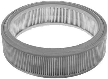 Air Filter Fits: Rover Metro