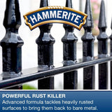 Hammerite Rust Remover Gel. Non Drip Rust Remover for Metal, Rust Converter - Non Damaging to Metal Paint, Suitable for Interior and Exterior - 750ml