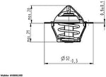 WAHLER 410808.88D Engine Cooling