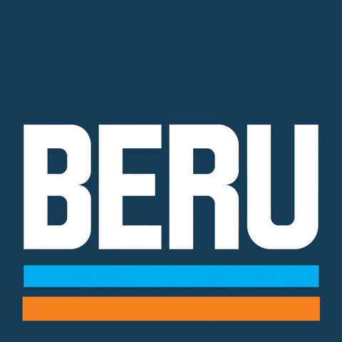 BERU Z170 Spark Plug