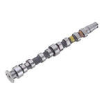 Kolbenschmidt 50007679 - Camshaft