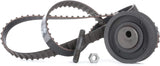 INA 530 0162 10 Timing Belt Kit