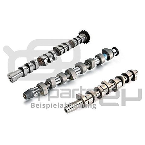 Kolbenschmidt 50006188 - Camshaft
