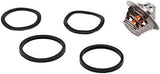 Calorstat TH5108.83J Thermostat, coolant