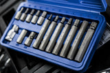 15 Pce 1/2" Drive Hex Bit Set (H4-H12) 01513