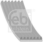 febi bilstein 45247 Auxiliary Belt, pack of one