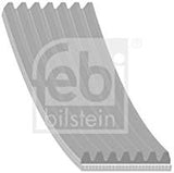 febi bilstein 45247 Auxiliary Belt, pack of one