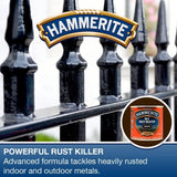 Hammerite No 1 Rust Beater, Rust Remover for Metal. Rust Converter Metal Paint, with Metal Filler Primer and Undercoat, Brown Metal Paint for Interior and Exterior - 250ml