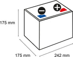 075 Banner Starting Bull Car Battery (56009)