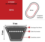 B31 Gates INDUSTRIAL V-BELT (9003-10031) OE QUALITY