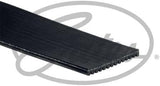 GATES Micro-V Belt 14PK1286HD