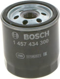 Bosch N4300 - Diesel Filter Car