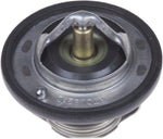 Blue Print ADK89205 Thermostat, pack of one