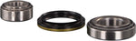 febi bilstein 08146 Wheel Bearing Kit with shaft seal, pack of one