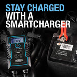 Ring Automotive RSC808 smart car battery charger 12v 24v 8A