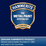 Hammerite Kurust Rust Remover for Metal. Rust Treatment and Rust Converter for Metal Interior and Exterior to Remove Brown Spots - 90ml
