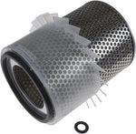 Blue Print ADZ92208 Air Filter, pack of one