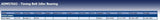 Blue Print ADM57642 Idler Pulley for timing belt, pack of one