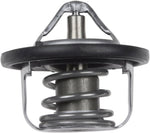 Blue Print ADK89205 Thermostat, pack of one