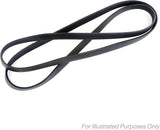 GATES 8PK1222ES Micro-V Xf Ribbed V-Belt