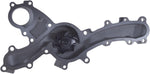 Blue Print ADT39199C Water Pump with seal and gasket, pack of one