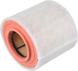 Blue Print ADW192216 Air Filter