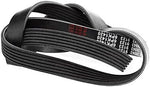 febi bilstein 28943 Auxiliary Belt, pack of one